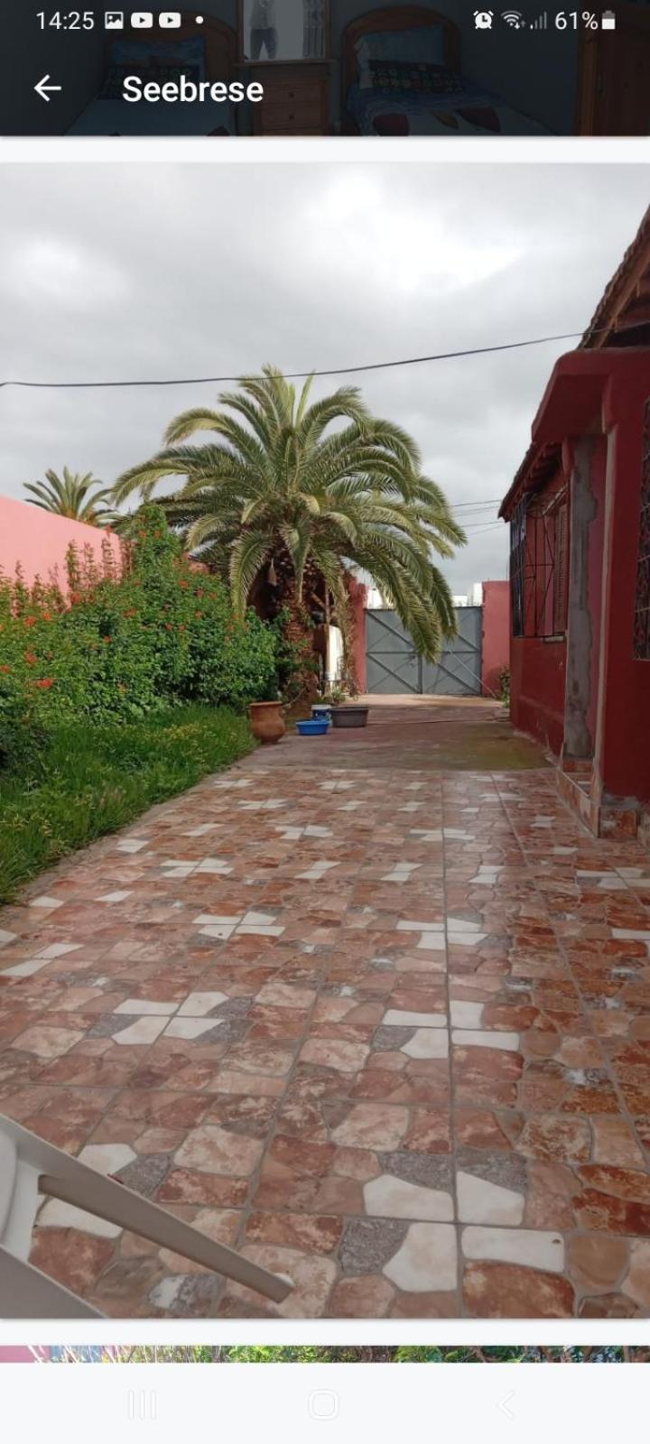 PalmTree Bed and Breakfast El Jadida Eksteriør billede